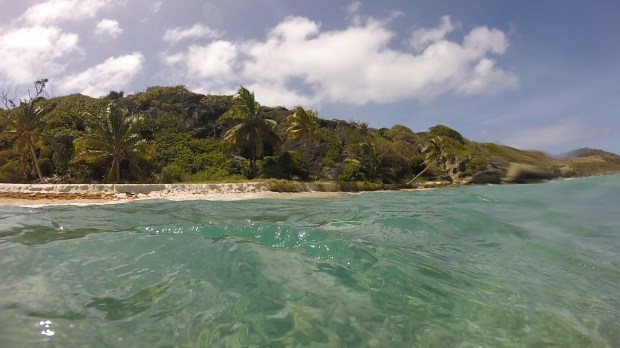 TobagoBeachfromWater